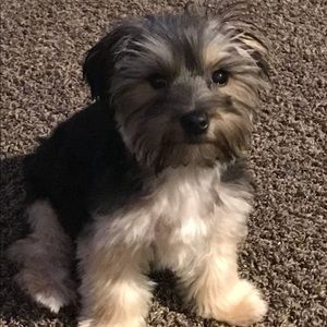 Meet your Posher, Mike